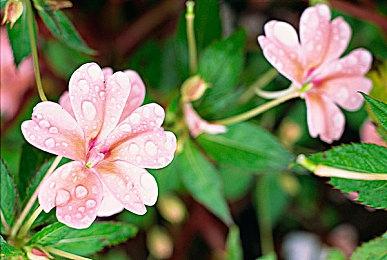 虚幻5重制《塞尔达：时之笛》新演示 画面效果改进